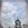 Ковров. Малая Базарная (Першутова). :: AZ east3