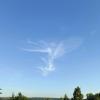 sky butterfly :: Дмитрий П