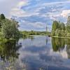 Природа у реки :: Александр
