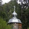 В лесах Севера :: Лариса С.