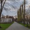 "Обрубки" :: Татьяна Гузева