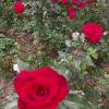 Almaty. :: Murat Bukaev