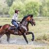 Кросс :: SanSan