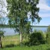 Нева :: Наталья Герасимова