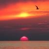 At the sunset :: Валерий 