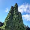 на набережной :: Ольга 