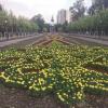 Almaty. :: Murat Bukaev