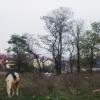 Но окраине села :: Татьяна Р