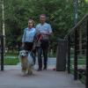 Прогулки в Летнем Парке :: юрий поляков