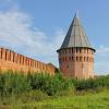 Долгочевская башня :: Владимир Соколов (svladmir)