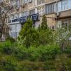 Зелень у дома :: Анатолий Чикчирный