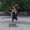 фаер шоу :: zavitok *