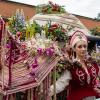 Фестиваль цветов :: Ирина Соловьёва