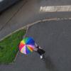 зонтик :: Арсений Корицкий