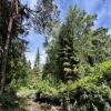 Фрагмент городского оазиса). :: Любовь 