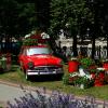 Бульвар Лукойла. Лето в Москве. :: Наталья Вязигина