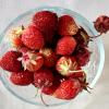 Вкусное лето :: Galina Solovova