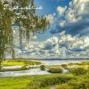 Поэтическая природа. :: Алексей 