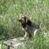 Ничей ( :: Natali 