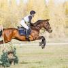 Кросс :: SanSan 