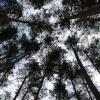Стражи небес :: Александр Винников