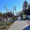 Аллея :: Юрий Гайворонскiий