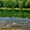 Немного природы :: Натали 