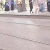 14 КЛОС (521) :: CLOSE WAYS ALL