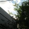 без названия :: fogmeadowww m