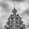 Многоглавая симфония дерева :: Дмитрий Карасев