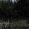 Секреты, которые хранят старые стены в глубине забытого сада. :: Светлана Никитина