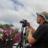 коллаж с птичкой :: sv.kaschuk