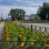 *** :: Дмитрий Костоусов