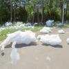 Летние сугробы :: Сеня Белгородский