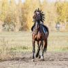 Конь :: SanSan 