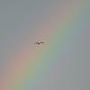 После дождя :: daimos