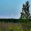 восход луны :: Александр