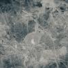 без названия :: fogmeadowww m