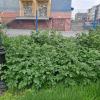 Воркутинская картошка )))2026, часовня Св. Варвары :: Troystik ии