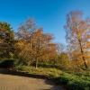 *** :: Николай Гирш
