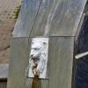 В фонтане :: Юрий Гайворонскiий