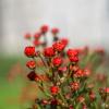 Природа :: Yuriy V