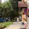 "Летний день" :: Макс Орлов в ВК