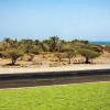 UAE 84 :: Arturs Ancans