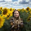 В подсолнухах :: Леонид Соснин