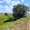 Солнечный день :: Георгиевич 