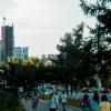 Август мой Город :: Владимир Максимов