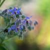 Природа :: Yuriy V