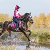 Кросс :: SanSan