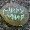 Прочее :: zavitok *